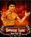 Bruce Lee Iron Fist.jar